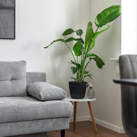 Panorama & Terrace In Center ブラチスラヴァ